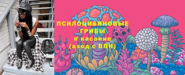 твердый Новокубанск
