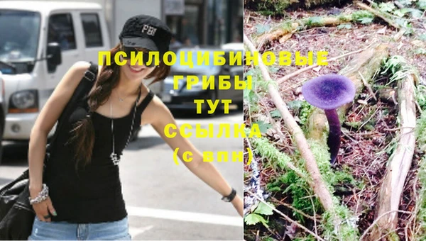 стафф Богородицк