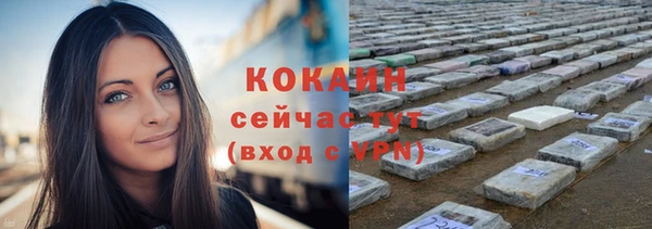 соль ск Богородск