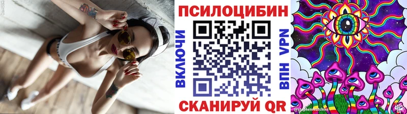 Псилоцибиновые грибы Psilocybe  Выборг 